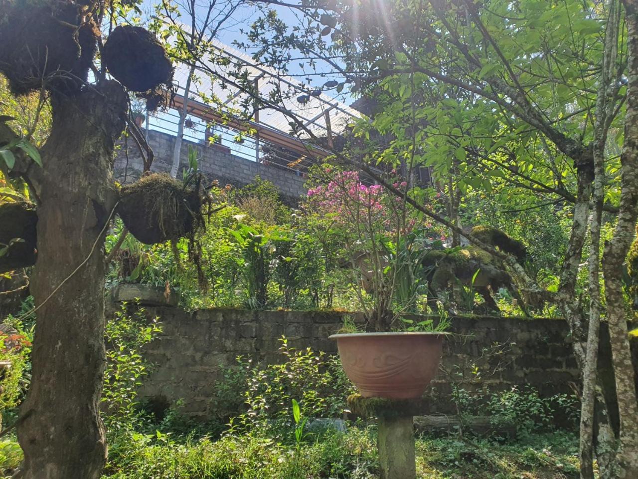 Sapa Garden Bungalow 외부 사진