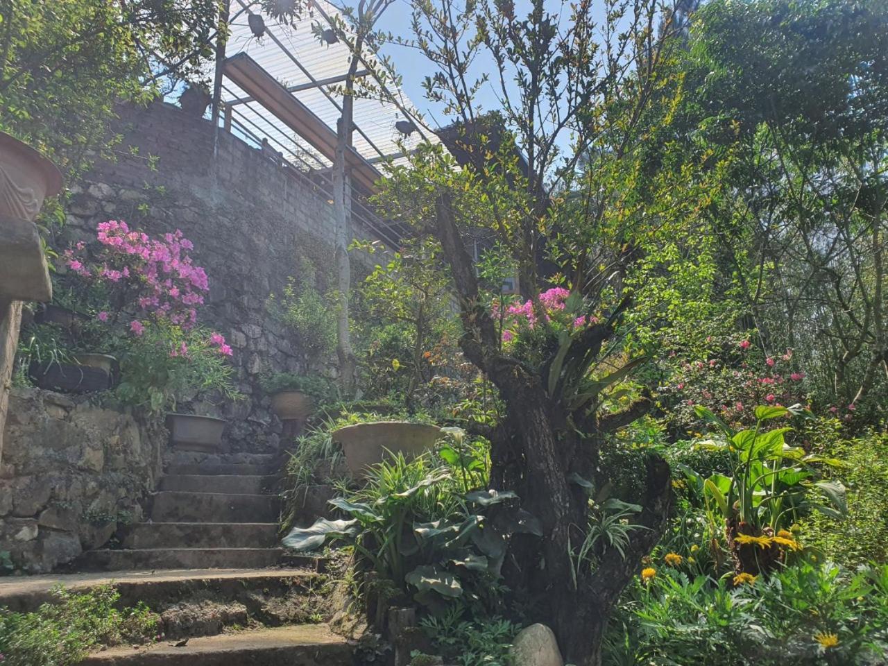 Sapa Garden Bungalow 외부 사진
