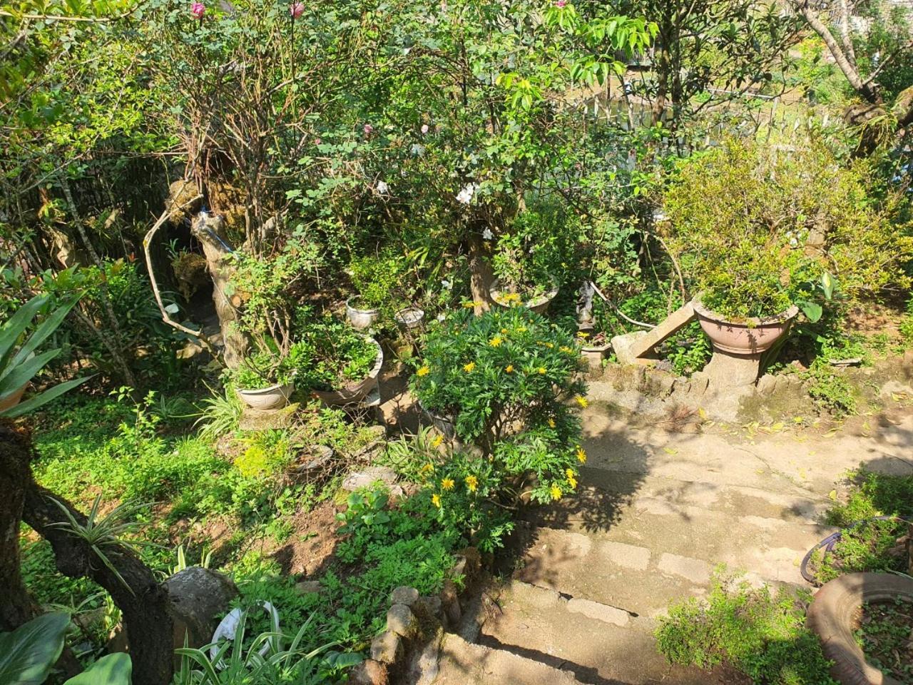 Sapa Garden Bungalow 외부 사진